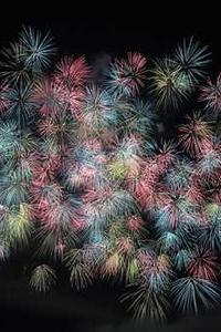口袋英雄破解版苹果版下载-第3张图片-亚星国际官网