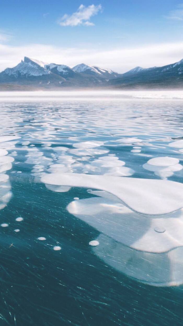 blue破解版苹果(lanzous苹果破解版)-第5张图片-有道翻译官网