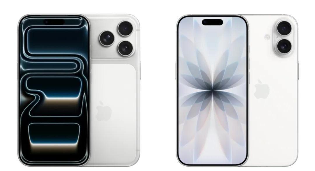 苹果简配版和标准版(苹果简配版是)-第7张图片-有道翻译官网